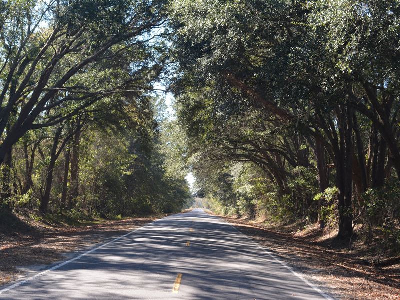 Slipaway Plantation, Farm for Sale in 139977 FARMFLIP