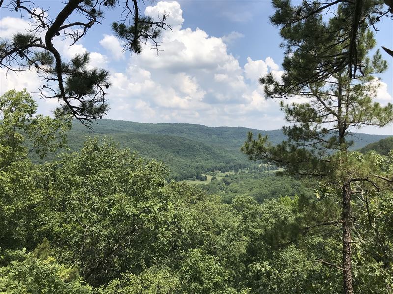 95 Ac Wooded Hunting / Rec Land : Clinton : Van Buren County : Arkansas