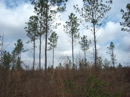 Country Building Tract : Wetumpka : Elmore County : Alabama
