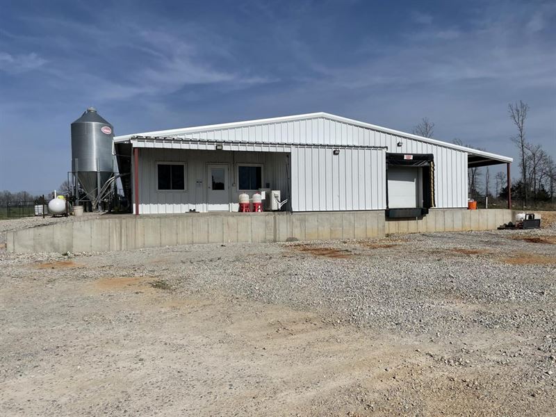 2019 Vital Poultry Farm, Ready to : Wiseman : Izard County : Arkansas