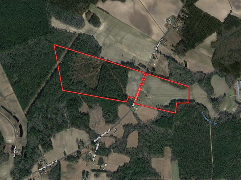 97.25 Acres : Bladenboro : Bladen County : North Carolina