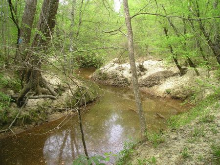 Perote : Union Springs : Bullock County : Alabama