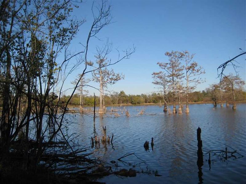 38.05 Acre Deer & Duck Hunting : Harrisonburg : Catahoula Parish : Louisiana