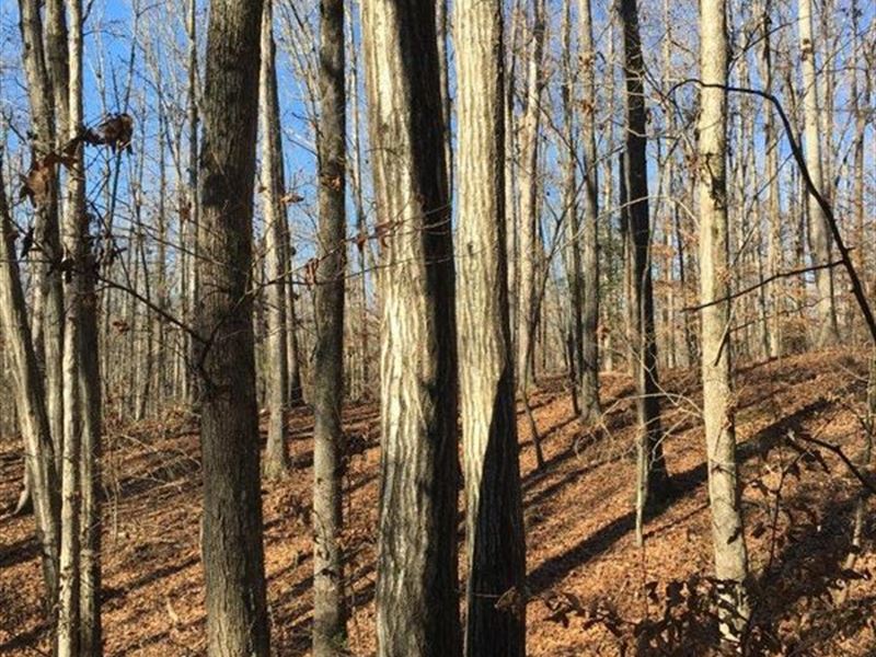 Scenic Views and Farm Land : Belton : Anderson County : South Carolina