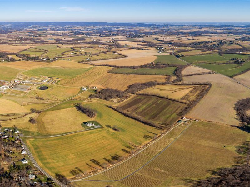 Dairy Farm Section 3 Auction, Farm Auction in Maryland, 140523