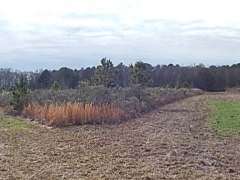 481 Acres in Holmes County in West : West : Holmes County : Mississippi