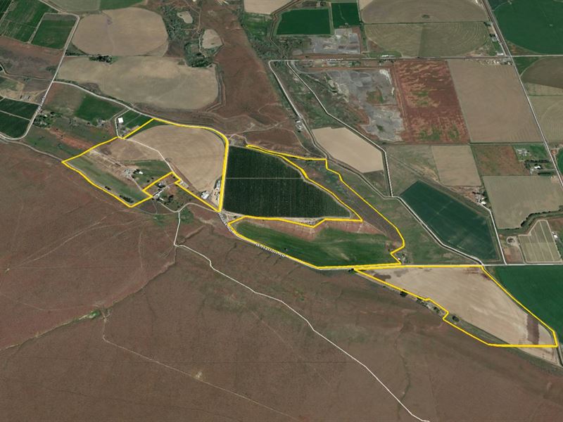 Adams County Farm, Farm Auction in Washington, 140700 FARMFLIP