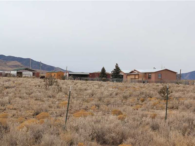 Home on 10 Acres With Shop, Hay Ba Farm for Sale in Nogal, Lincoln