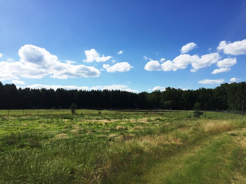 Sunset Drive Tract, Tract 1507 : Holladay : Benton County : Tennessee