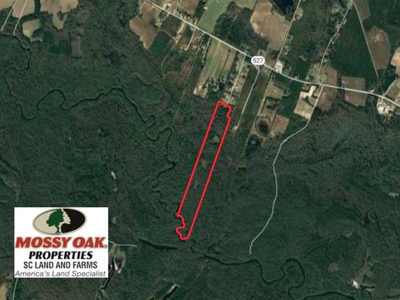 Reduced, 68 Acres of Riverfront Farm for Sale in Kingstree