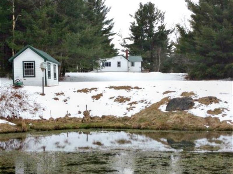 Woodland Cottage On Birch Stream : Alton : Penobscot County : Maine