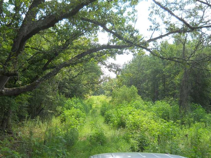 249 Acres with Crp Income and 20 : New Houlka : Pontotoc County : Mississippi