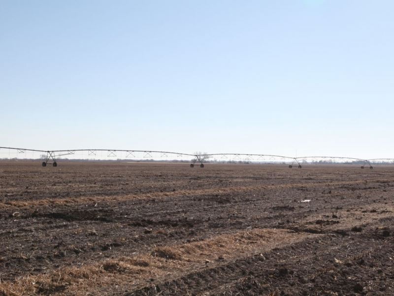 Dawson County Pivot Irrigated Land : Overton : Dawson County : Nebraska