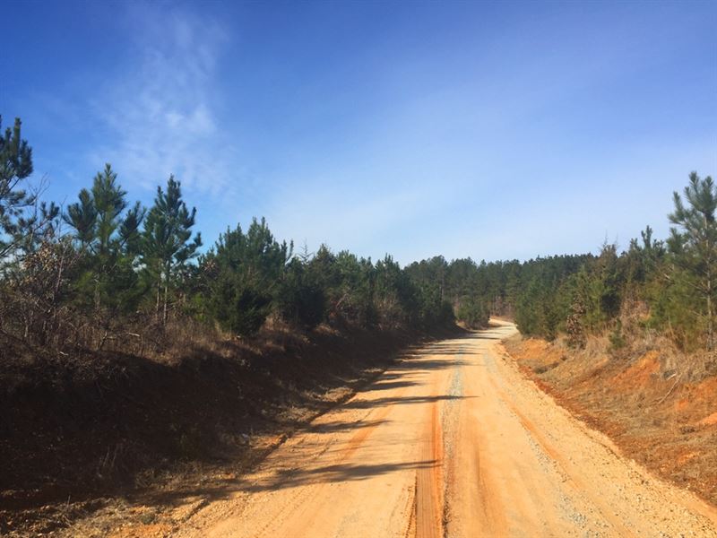 Dacus Road South : Medon : Hardeman County : Tennessee