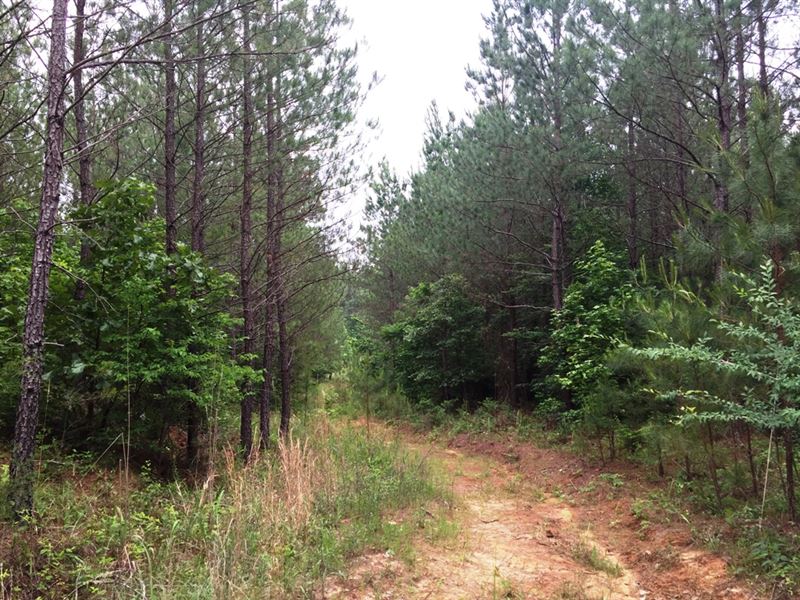 Center Ridge Road East, Farm for Sale in Tennessee, 141215 FARMFLIP