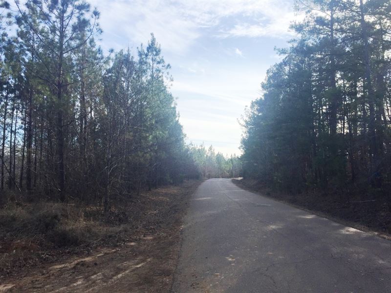Doyle Road Tract : Middleton : Hardeman County : Tennessee