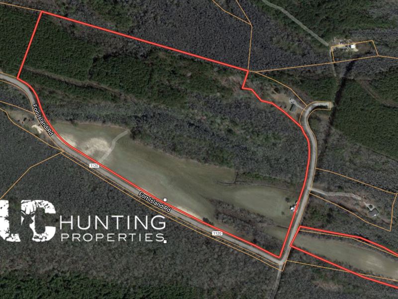 Hunting Land : Eure : Gates County : North Carolina