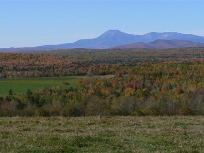 40 Acres In Caribou, ME Farm for Sale by Owner in Caribou, Aroostook