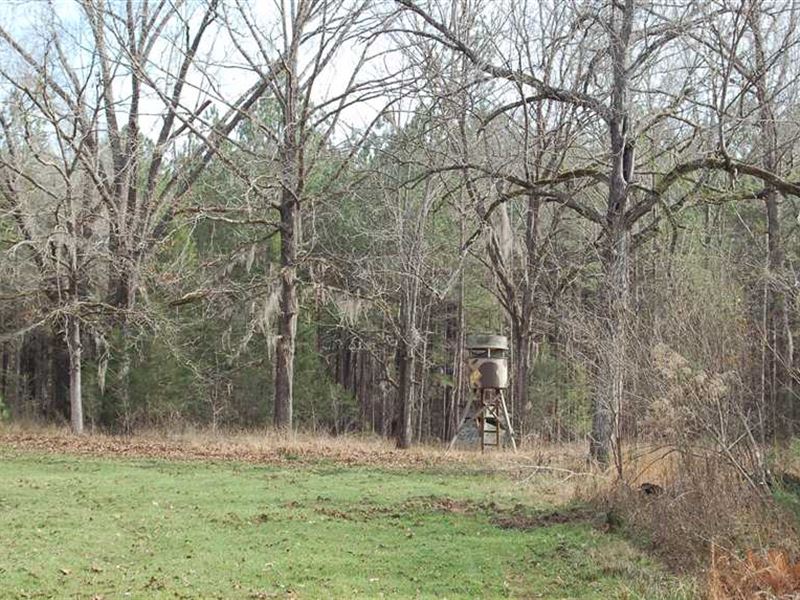 Fitzpatrick Honey Hole, Farm for Sale in Alabama, 141361 FARMFLIP