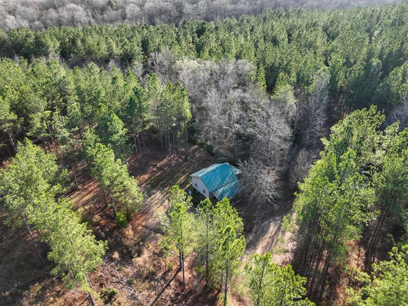 Beaverton AL 172 Acre and Cabin : Beaverton : Lamar County : Alabama