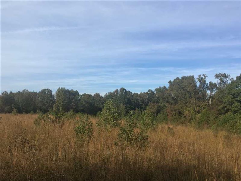 16.81 Acres Just South of Greer : Hopewell : Cleburne County : Arkansas