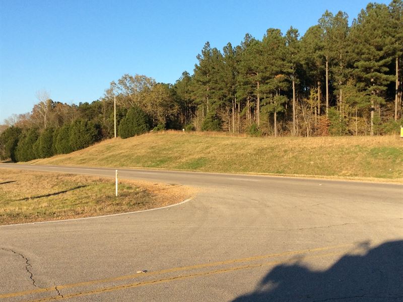 Epps Tract, Farm for Sale in Mississippi, 141504 FARMFLIP