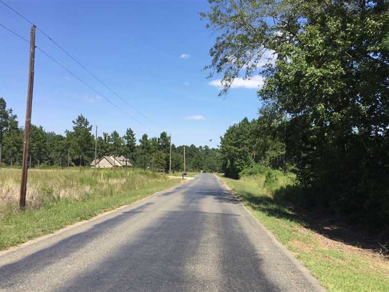 Hodge West Tract, Jackson Parish, Farm for Sale in Louisiana, 141672
