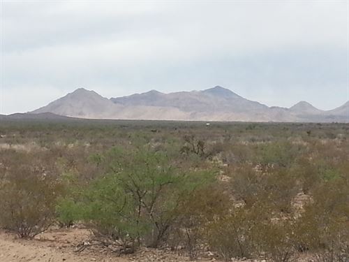 20 Ac, Great Hunting, Only $279/Mo : Salt Flat : Hudspeth County : Texas