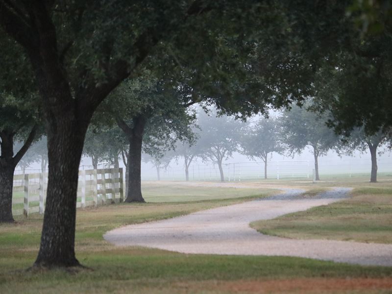 Beautiful, Remote Cattle Farm, Home Farm for Sale by Owner in