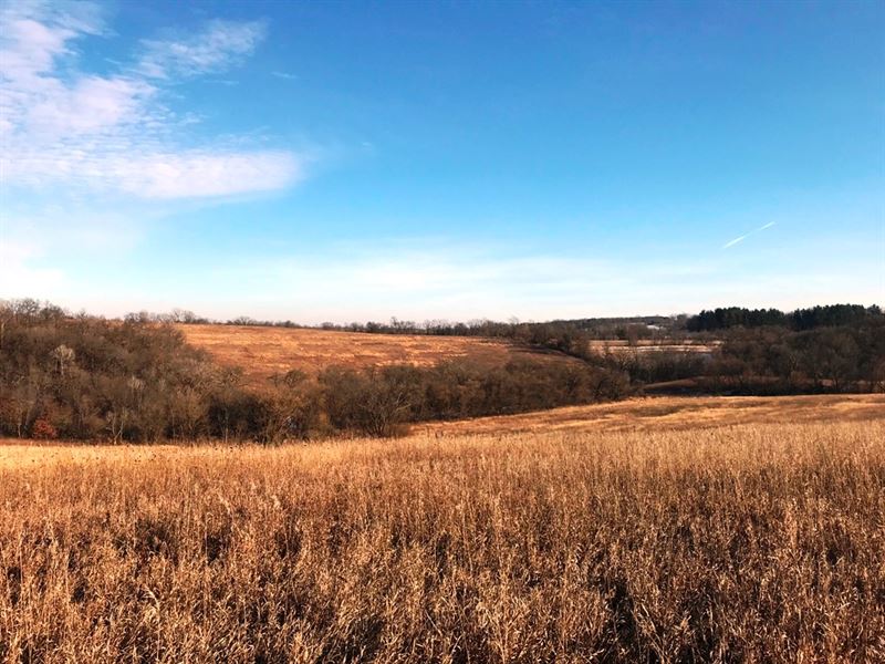 266+/- Acres Town Of Hickory Grove : Fennimore : Grant County : Wisconsin