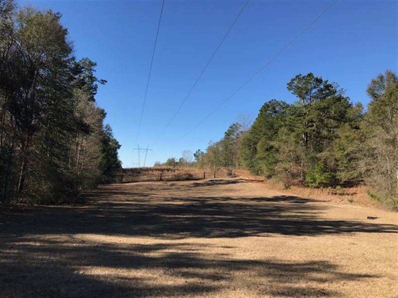 Mariah Springs Hunting Lodge, Farm for Sale in Mississippi, 141874