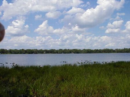 15 Acres On Lake Jeffords cl-075 : Hawthorne : Alachua County : Florida