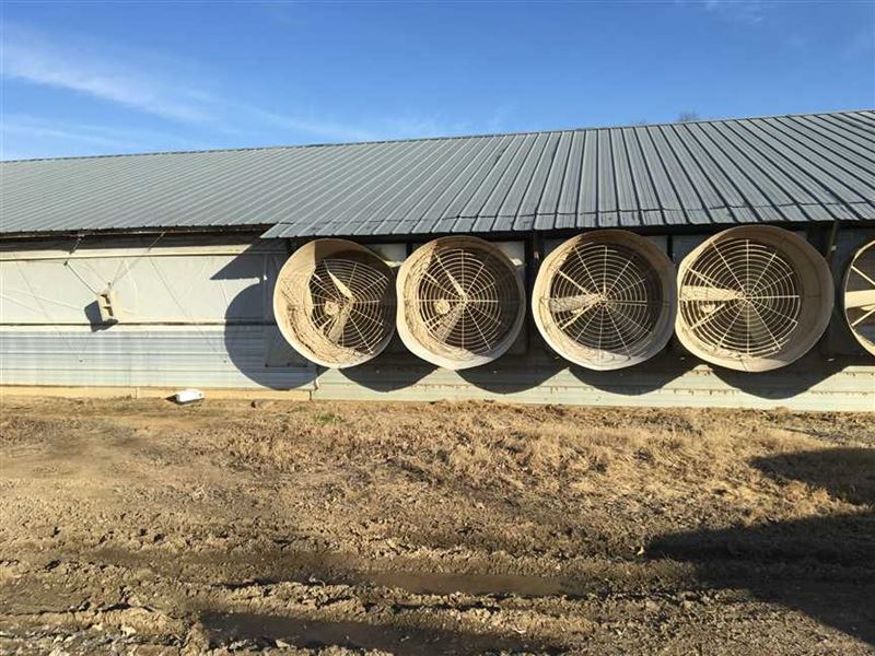 This 2 House Omp Poultry on 133 : Cave City : Sharp County : Arkansas