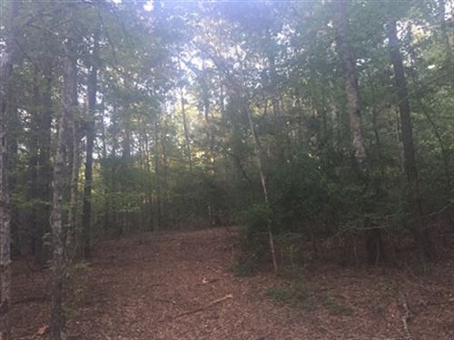 30 Acre Wooded Home Site Near Troy : Troy : Pike County : Alabama