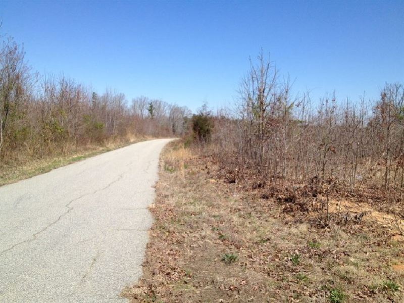 Buford Farms Lot 6, Farm for Sale in South Carolina, 142120 FARMFLIP