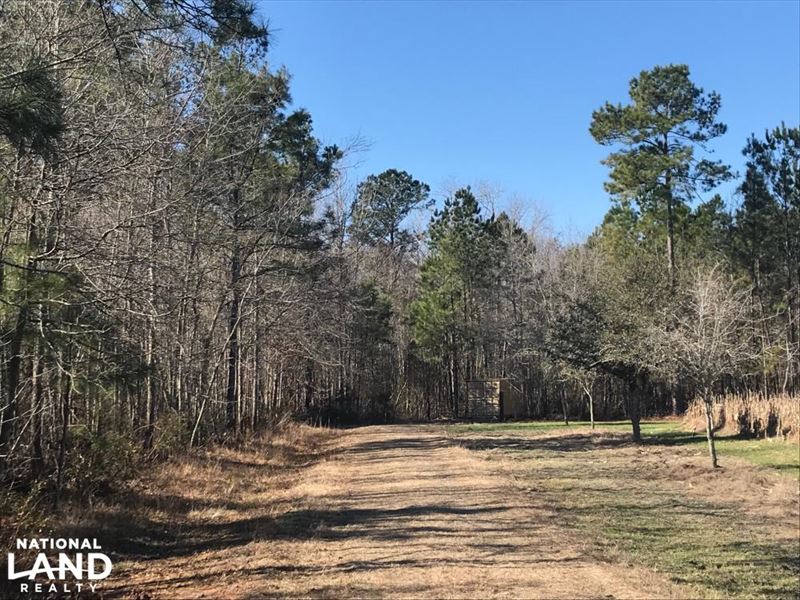 Spiers Circle Home Site Farm for Sale in Bonneau, Berkeley County, South Carolina 142281