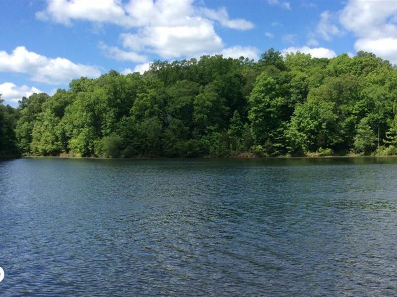 Lake Russell Frontage Property, Farm for Sale in South Carolina, 142285 FARMFLIP