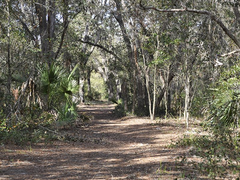 Bear Hammock Game Haven : Eustis : Lake County : Florida