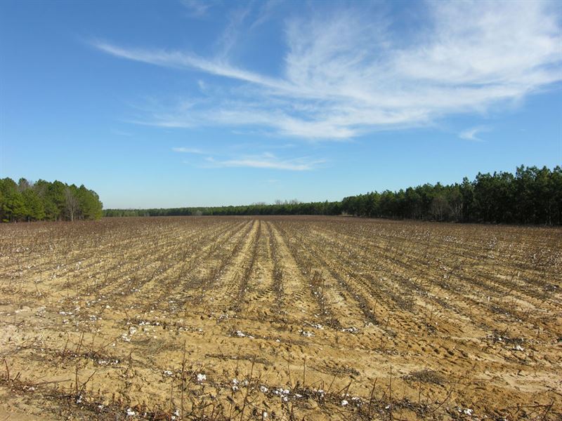 112.72 Acres Cultivated and Wooded : Waynesboro : Burke County : Georgia