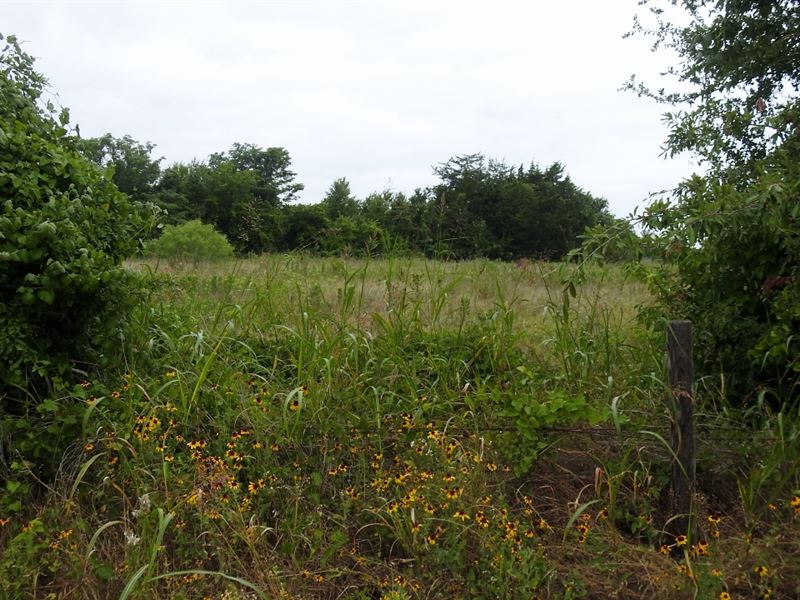 5.52 Acres, Fm 485, Branchville : Cameron : Milam County : Texas
