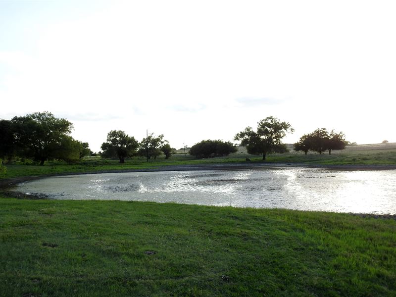 17.774 Acres, Franklin Rd, Troy Farm for Sale in Troy, Bell County