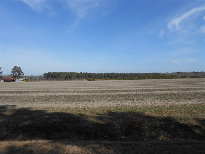 Farmland For Sale Bertie Co Nc Farm for Sale in Merry Hill, Bertie