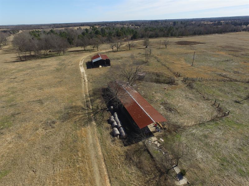 71 Acre Ranch : Quitman : Wood County : Texas