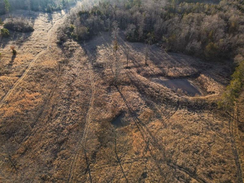 78 Ac Multiple Opportunities : Silva : Wayne County : Missouri