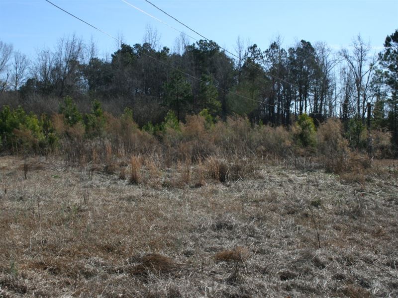 2 OR 3 Gathered, Farm for Sale in North Carolina, 142642 FARMFLIP