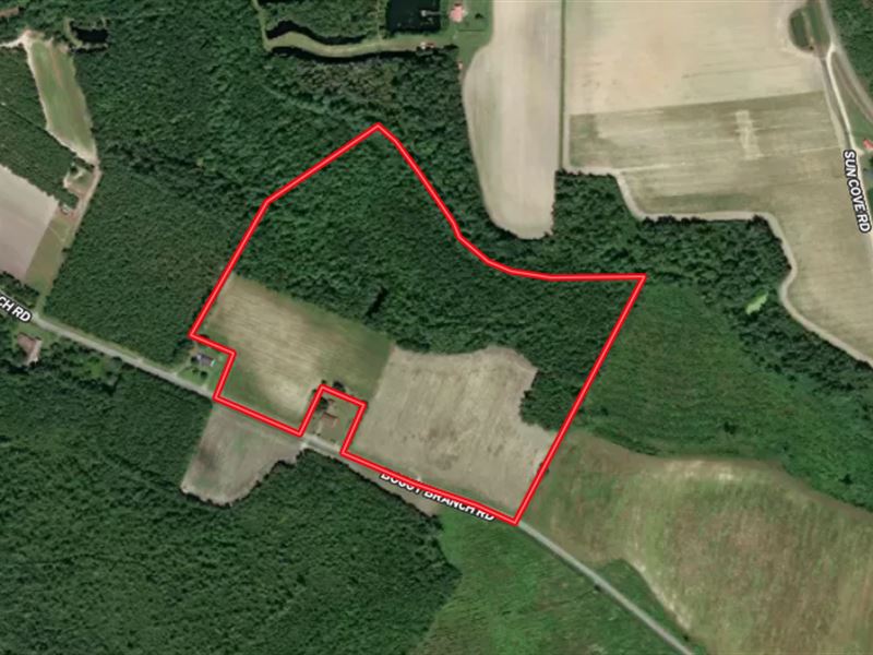 39.26 Acres of Farm and Hunting Lan : Nichols : Horry County : South Carolina