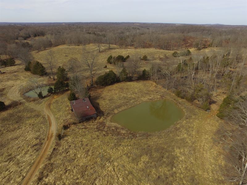 110 Acres in Barren County, Ky, Farm for Sale in Kentucky, 142839