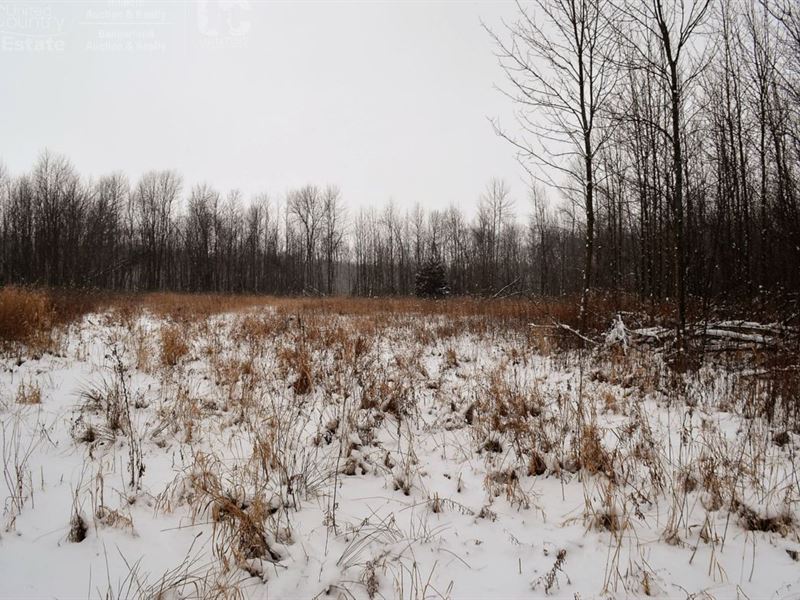 Wooded Acreage : Cleveland : Manitowoc County : Wisconsin