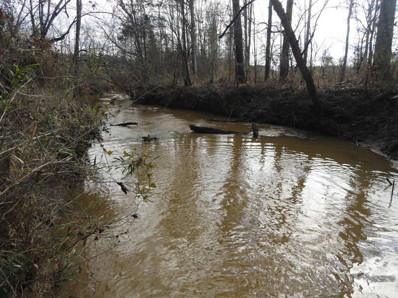 Calhoun Creek Tract 2 : Abbeville : Abbeville County : South Carolina