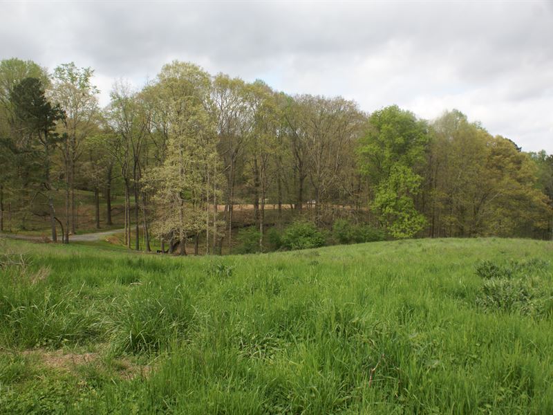 Gorgeous Rolling Acreage with Pond : Canton : Cherokee County : Georgia